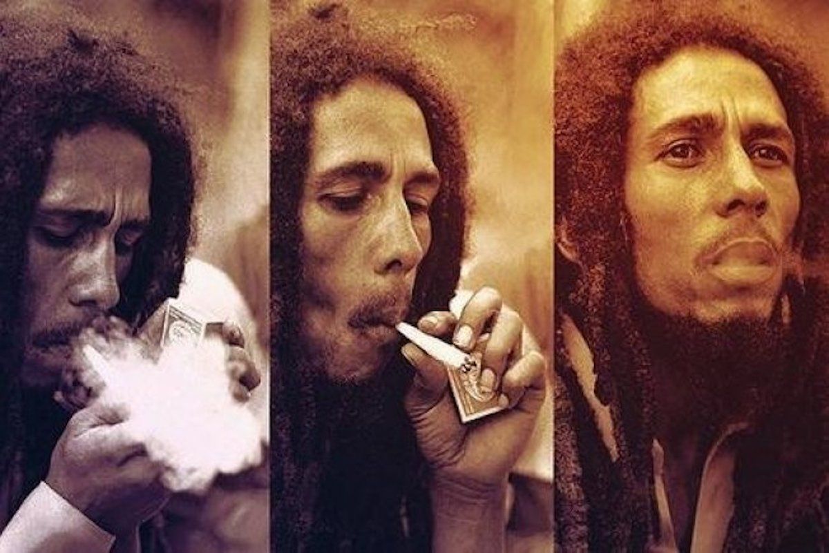 Jamaican Scientist is Recreating Rare Strain of Bob Marley's Favorite  Marijuana Strain