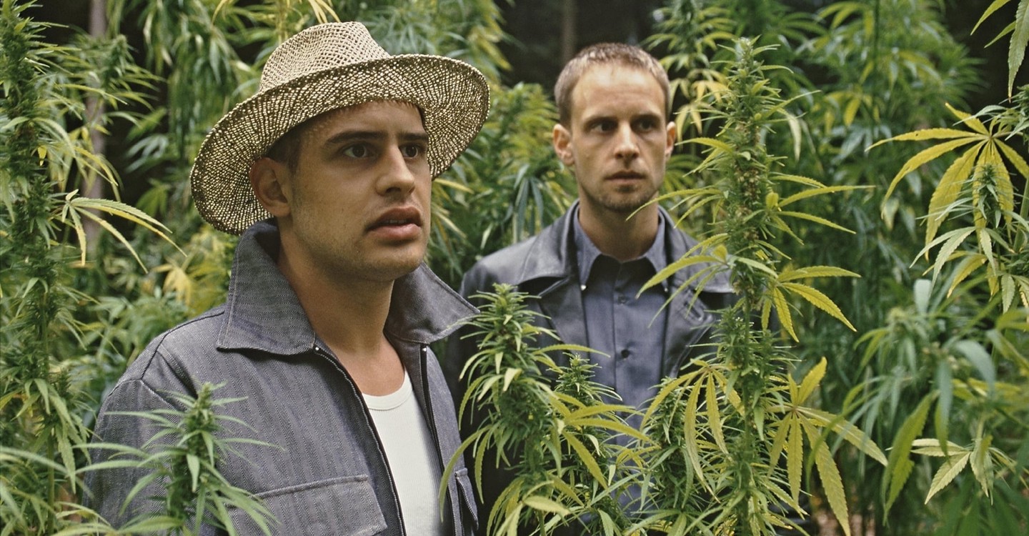 13 Stoner Movies You Probably Forgot About