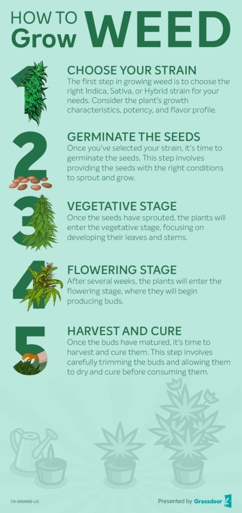How To Grow Weed