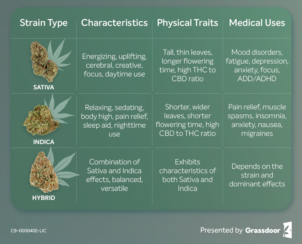 Effects of Indica, Sativa and Hybrid Strains