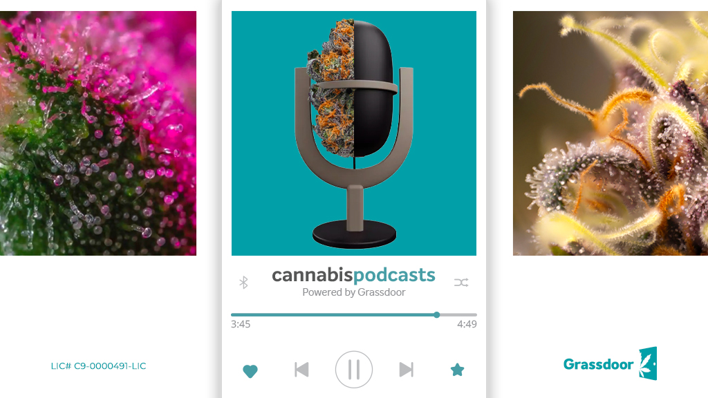 Cannabis podcasts to listen to