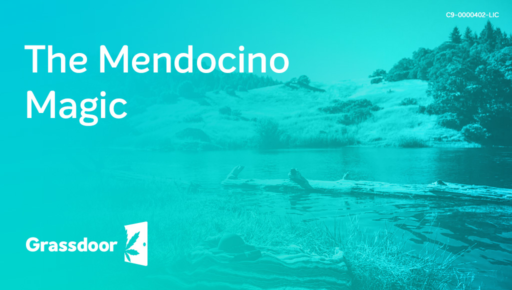 The Mendocino Magic