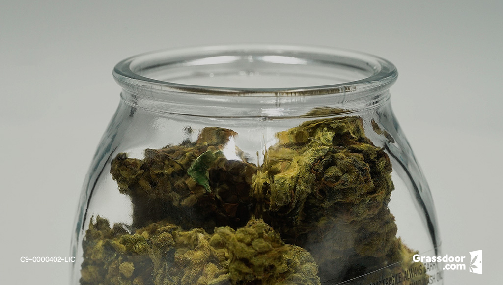 Closeup shot of cannabis flower in a storage container