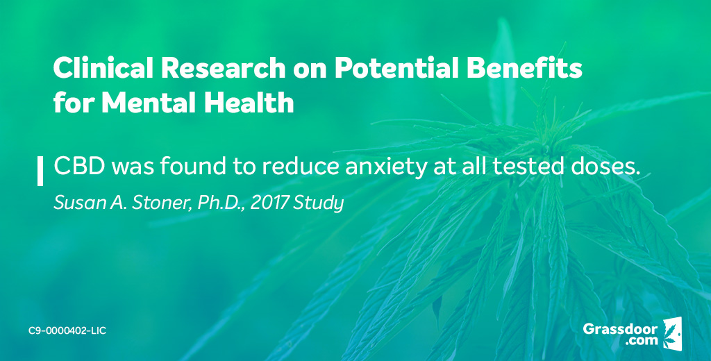 Clinical research on cannabis and anxiety