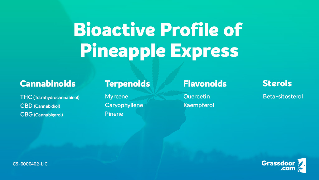 Pineapple Express weed strain bioactive profile