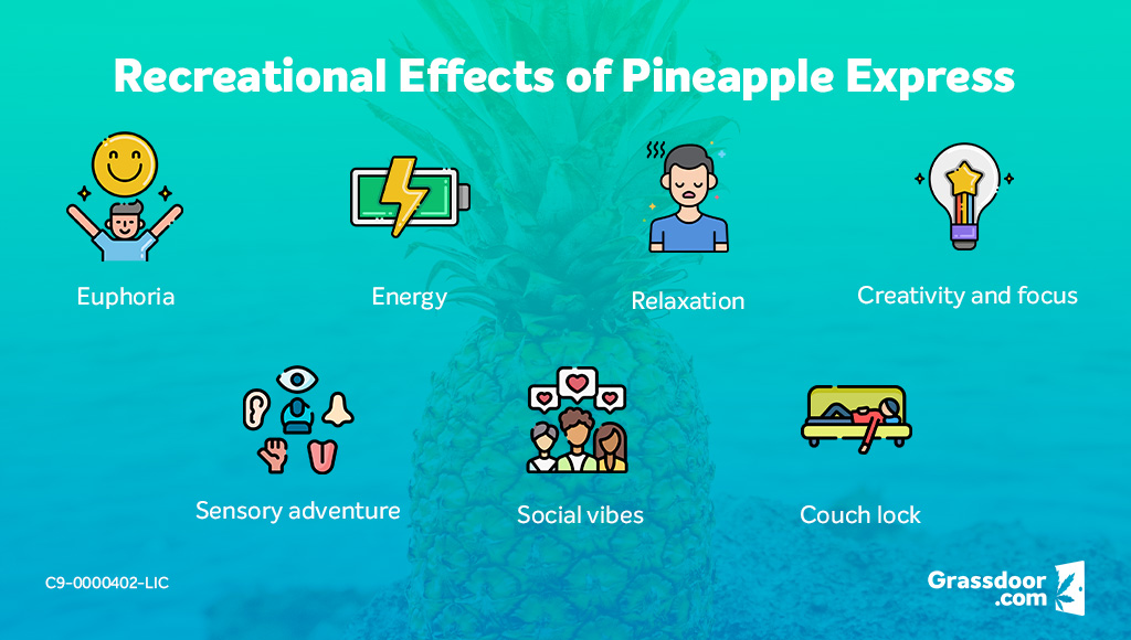 Recreational effects of Pineapple Express cannabis strain