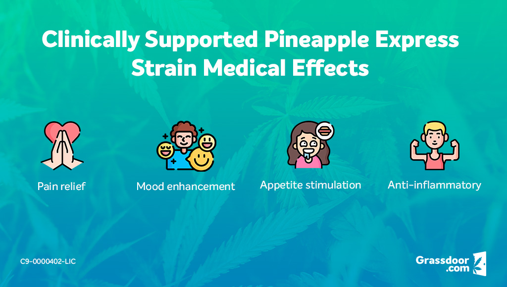 Medical effects of Pineapple Express cannabis strain