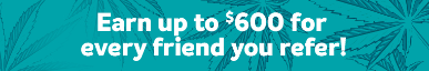 Earn up to 100$ for every friend you refer! 